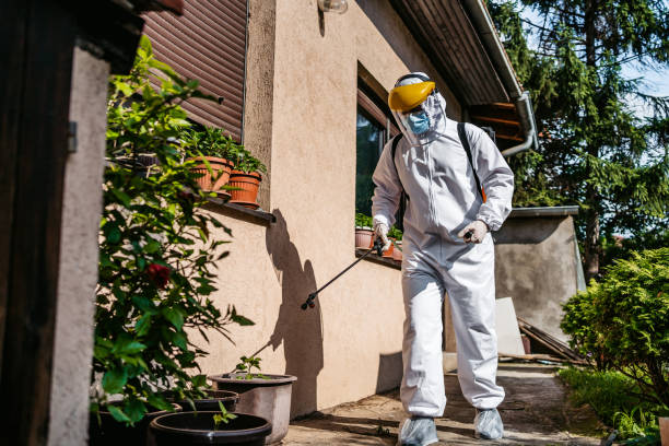 Best Rodent Control Near Me  in Svis, IL