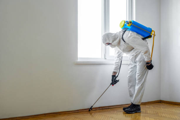 Best Pest Removal Services  in Svis, IL