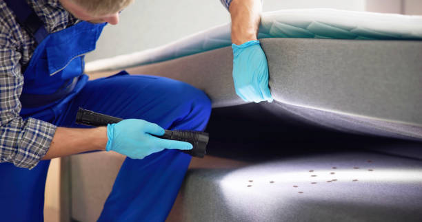 Best Mosquito Control Services  in Svis, IL