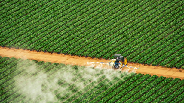 Best Pest Prevention Services  in Svis, IL