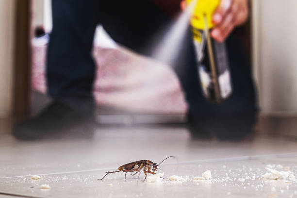 Best Wildlife Control Services  in Svis, IL