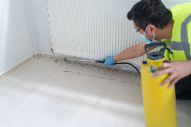 Best Wasp Removal Services  in Svis, IL