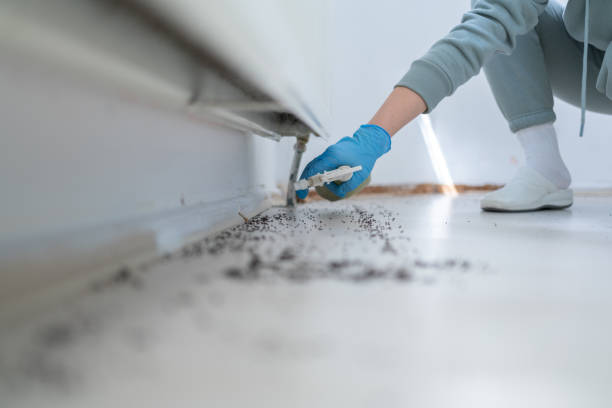 Best Insect Control  in Svis, IL