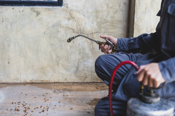 Best Pest Control for Homes  in Svis, IL